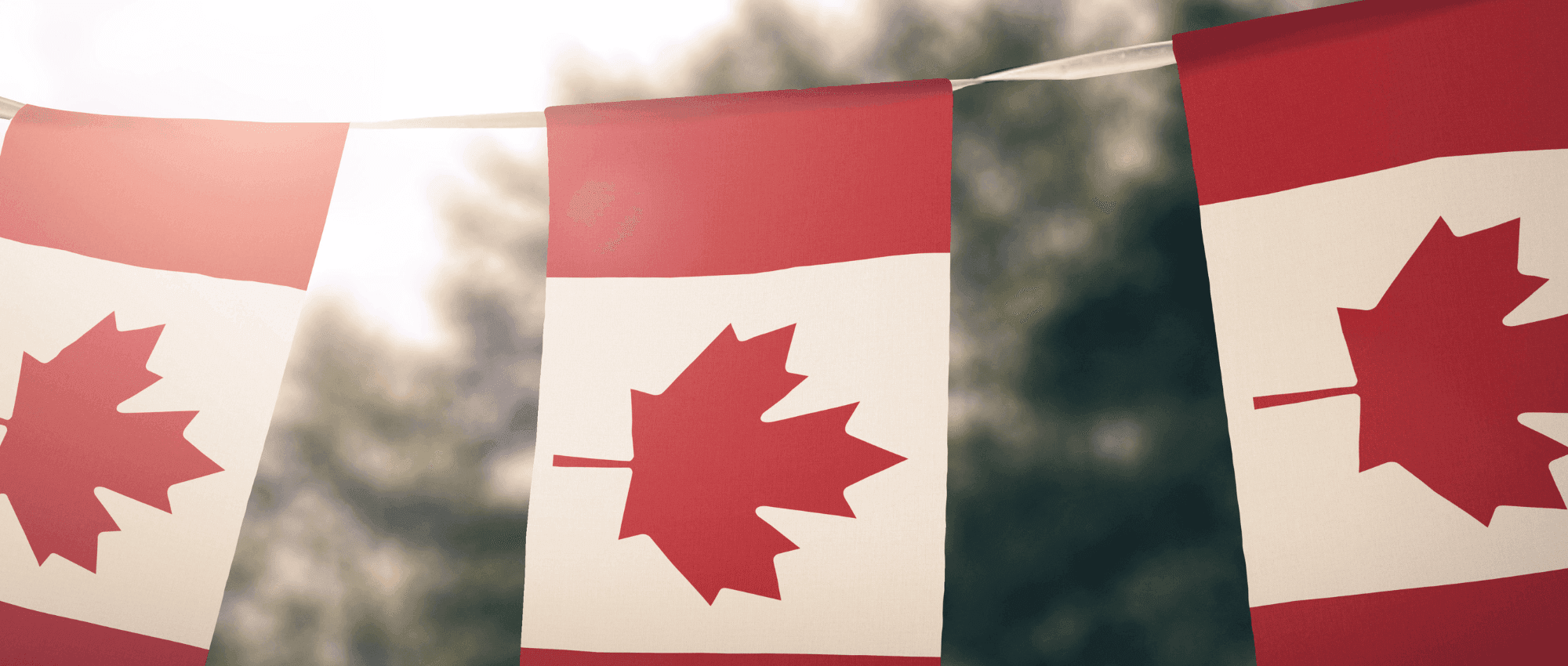 canadian flag streamer